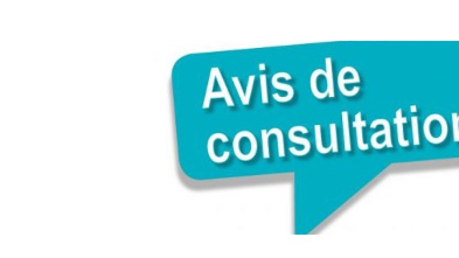 Avi-Consultation